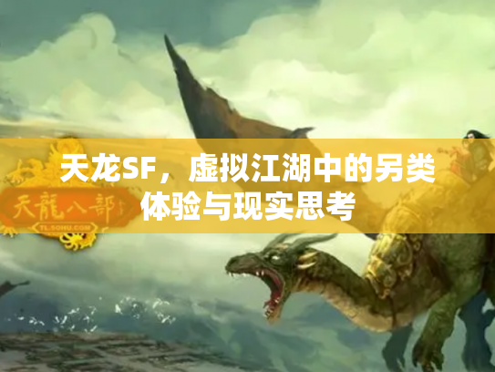 天龙SF，虚拟江湖中的另类体验与现实思考