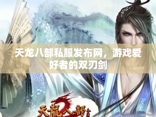 天龙八部私服发布网，游戏爱好者的双刃剑