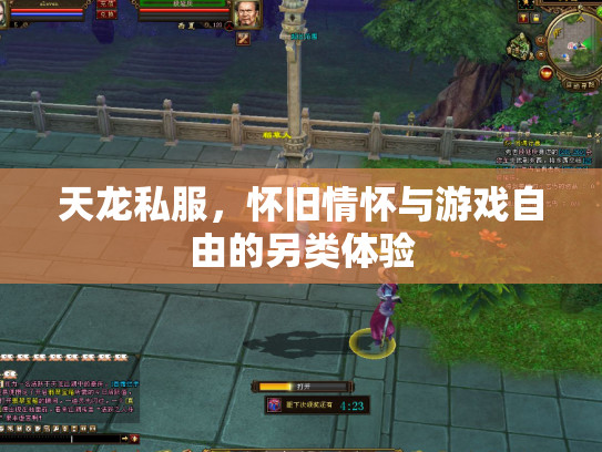 天龙私服，怀旧情怀与游戏自由的另类体验