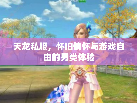天龙私服，怀旧情怀与游戏自由的另类体验