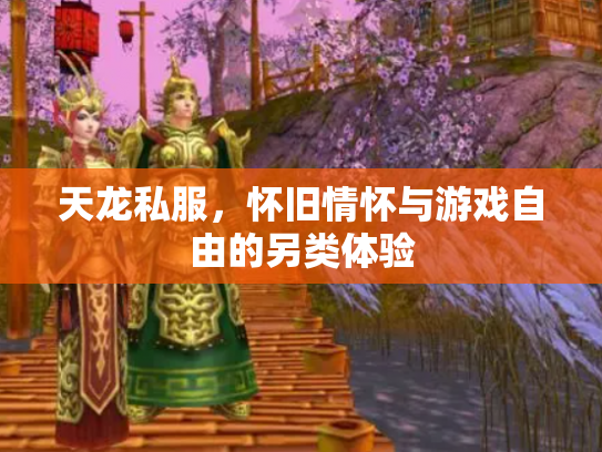 天龙私服，怀旧情怀与游戏自由的另类体验