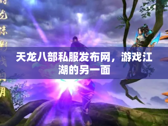天龙八部私服发布网，游戏江湖的另一面