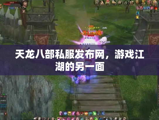 天龙八部私服发布网，游戏江湖的另一面