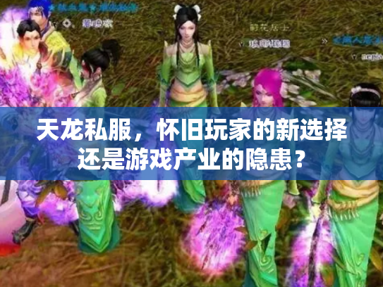 天龙私服，怀旧玩家的新选择还是游戏产业的隐患？