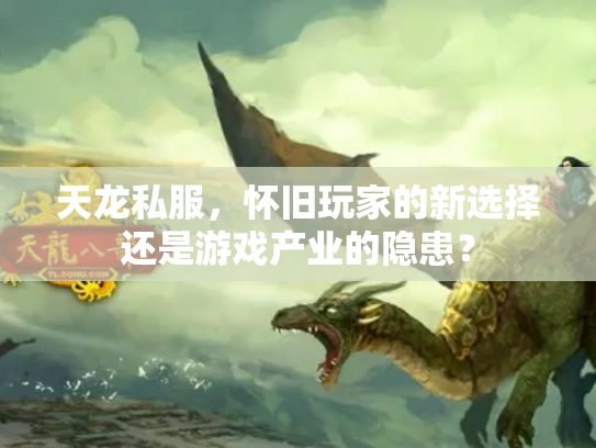 天龙私服，怀旧玩家的新选择还是游戏产业的隐患？