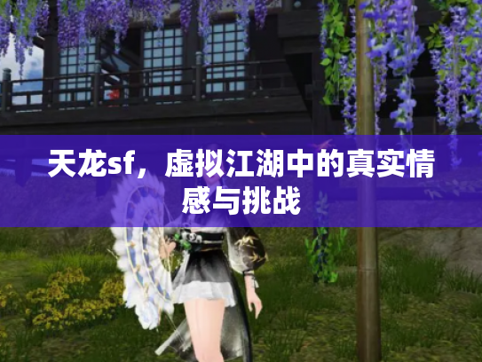 天龙sf，虚拟江湖中的真实情感与挑战