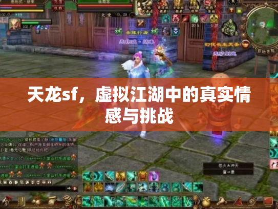 天龙sf，虚拟江湖中的真实情感与挑战