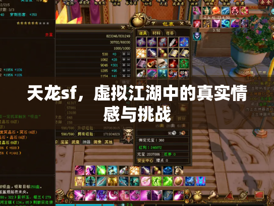 天龙sf，虚拟江湖中的真实情感与挑战