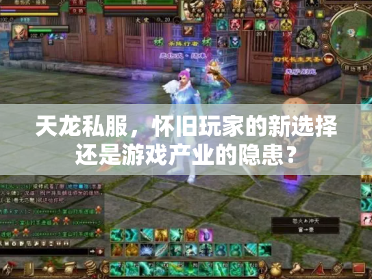 天龙私服，怀旧玩家的新选择还是游戏产业的隐患？