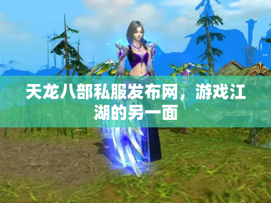 天龙八部私服发布网，游戏江湖的另一面
