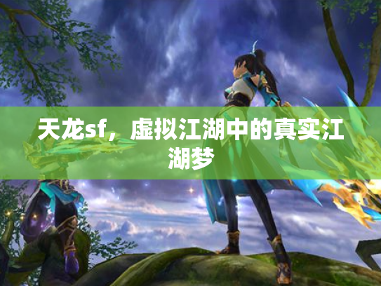 天龙sf，虚拟江湖中的真实江湖梦
