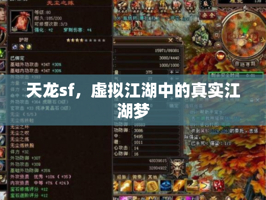 天龙sf，虚拟江湖中的真实江湖梦