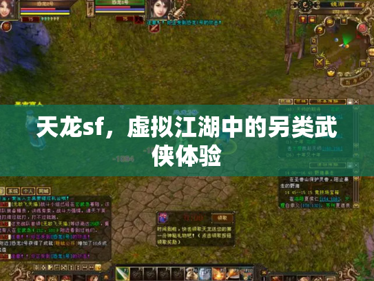 天龙sf，虚拟江湖中的另类武侠体验