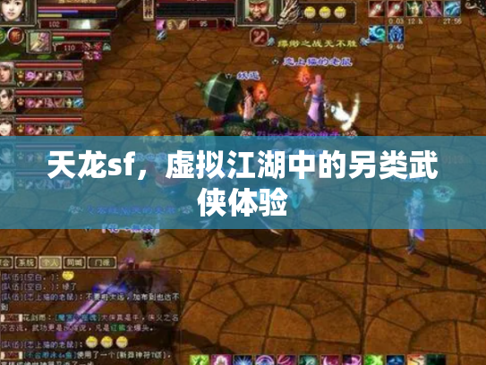 天龙sf，虚拟江湖中的另类武侠体验
