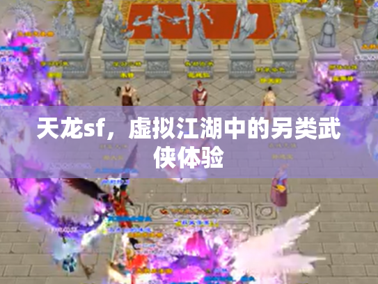 天龙sf，虚拟江湖中的另类武侠体验