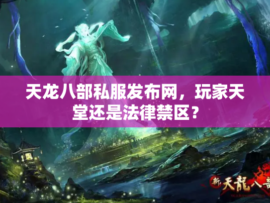 天龙八部私服发布网，玩家天堂还是法律禁区？