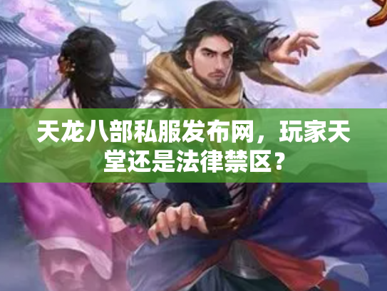 天龙八部私服发布网，玩家天堂还是法律禁区？
