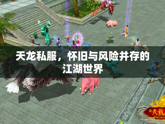 天龙私服，怀旧与风险并存的江湖世界