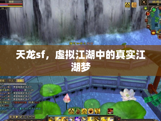 天龙sf，虚拟江湖中的真实江湖梦