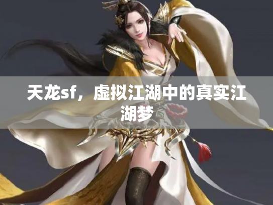 天龙sf，虚拟江湖中的真实江湖梦