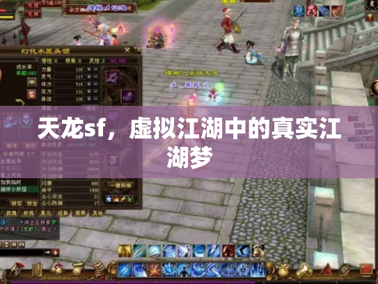 天龙sf，虚拟江湖中的真实江湖梦