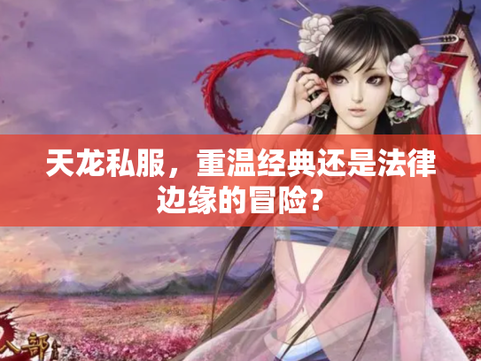 天龙私服，重温经典还是法律边缘的冒险？