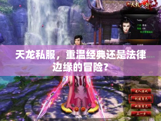 天龙私服，重温经典还是法律边缘的冒险？