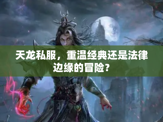 天龙私服，重温经典还是法律边缘的冒险？