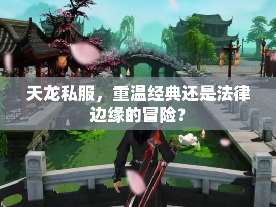 天龙私服，重温经典还是法律边缘的冒险？