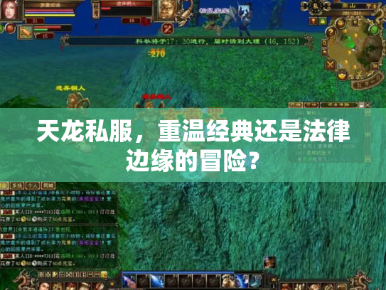 天龙私服，重温经典还是法律边缘的冒险？