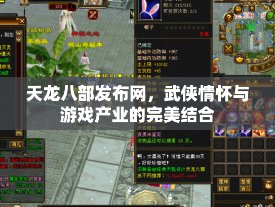 天龙八部发布网，武侠情怀与游戏产业的完美结合