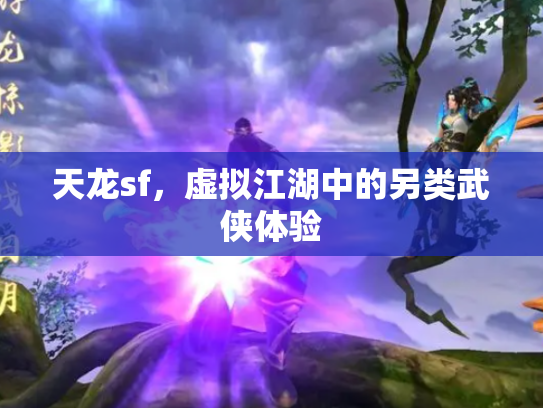 天龙sf，虚拟江湖中的另类武侠体验
