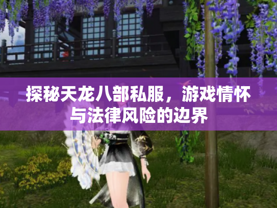 探秘天龙八部私服，游戏情怀与法律风险的边界