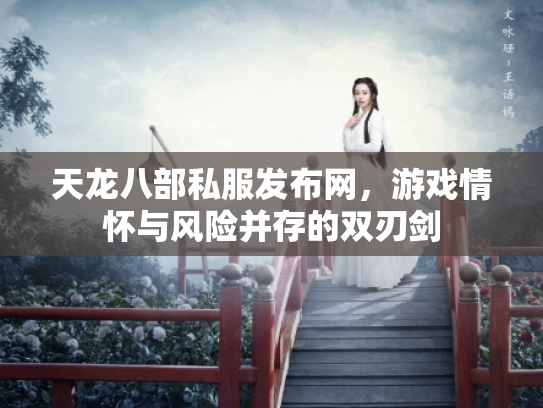 天龙八部私服发布网，游戏情怀与风险并存的双刃剑