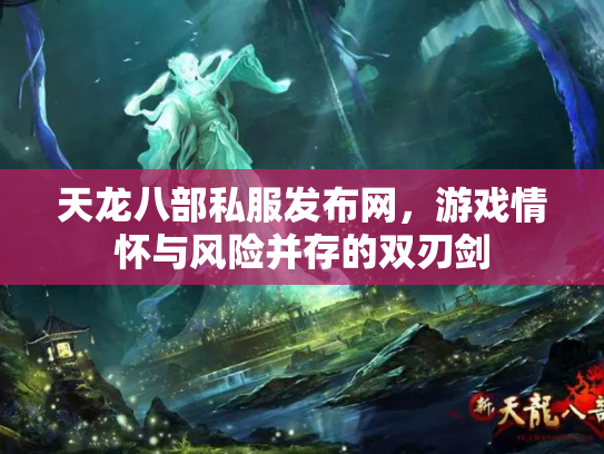 天龙八部私服发布网，游戏情怀与风险并存的双刃剑