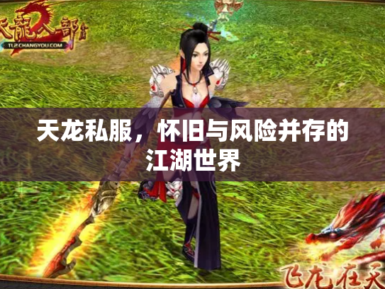 天龙私服，怀旧与风险并存的江湖世界