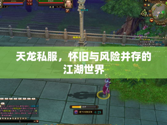天龙私服，怀旧与风险并存的江湖世界