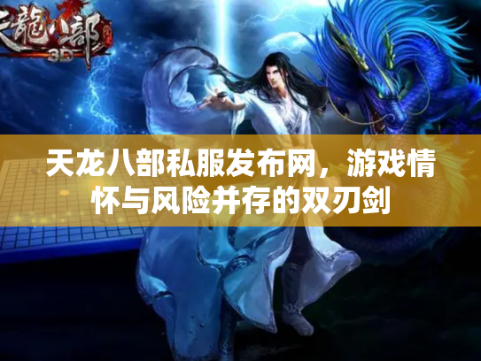 天龙八部私服发布网，游戏情怀与风险并存的双刃剑