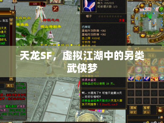天龙SF，虚拟江湖中的另类武侠梦