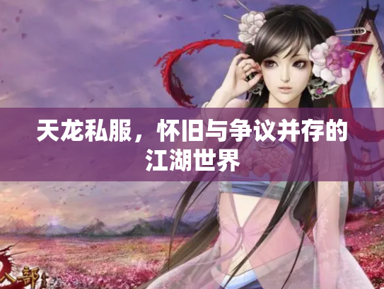 天龙私服，怀旧与争议并存的江湖世界