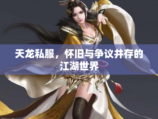 天龙私服，怀旧与争议并存的江湖世界