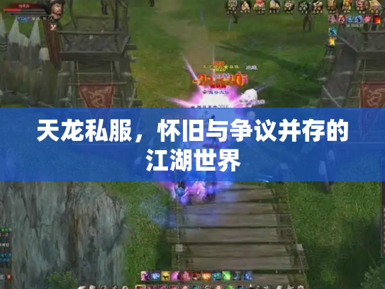 天龙私服，怀旧与争议并存的江湖世界