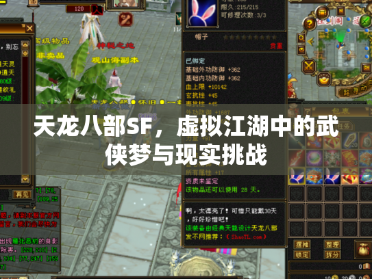 天龙八部SF，虚拟江湖中的武侠梦与现实挑战