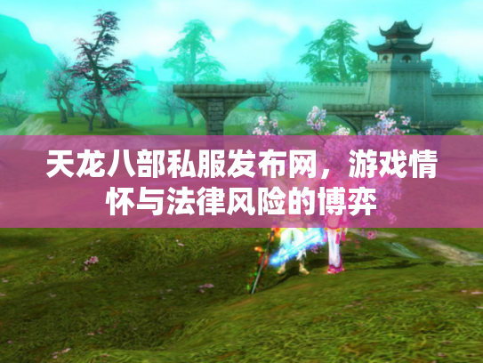 天龙八部私服发布网，游戏情怀与法律风险的博弈