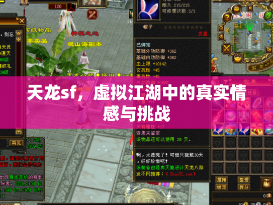 天龙sf，虚拟江湖中的真实情感与挑战