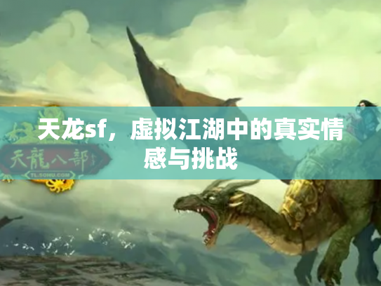 天龙sf，虚拟江湖中的真实情感与挑战