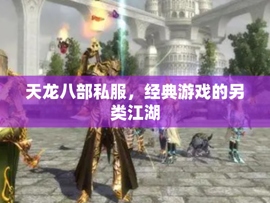 天龙八部私服，经典游戏的另类江湖