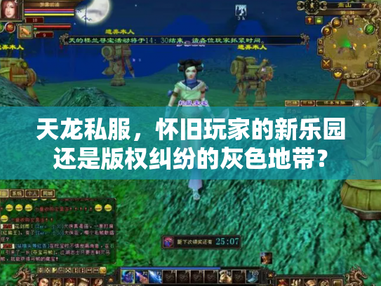 天龙私服，怀旧玩家的新乐园还是版权纠纷的灰色地带？