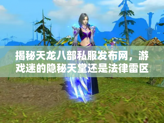 揭秘天龙八部私服发布网，游戏迷的隐秘天堂还是法律雷区？