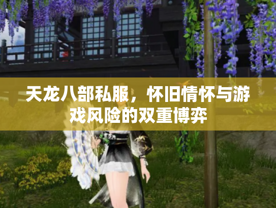 天龙八部私服，怀旧情怀与游戏风险的双重博弈
